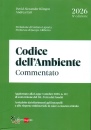 immagine di Codice dell