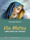 immagine di Via Matris Come spada che trafigge