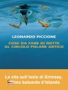 immagine di Cose da fare di notte al Circolo Polare Artico