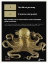 immagine di L
