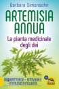 immagine di Artemisia annua la pianta medicinale degli dei