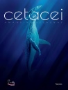 immagine di Cetacei Album scoperte