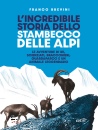 immagine di L