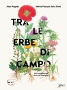 NOGUES - DE LA TORRE, Tra le erbe di campo Una passeggiata ricca di ..., Aboca edizioni,  2026