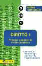 BELLINI VITTORIA, DIRITTO 1�Principi generali di diritto pubblico