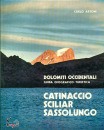ARTONI CARLO, CATINACCIO SCILIAR SASSOLUNGO
