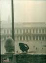 immagine libro